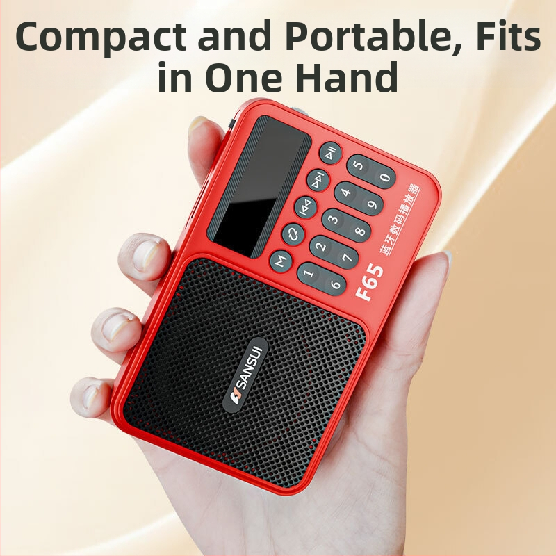 Sansui F65 Bluetooth audio atskaņotājs ar kartes slotu un radio, mono skaņa, 3W jauda