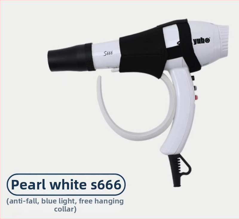 Mājdzīvnieku matu žāvētājs, modelis 898, 2000W+, AC motors, 220V, pārkaršanas aizsardzība