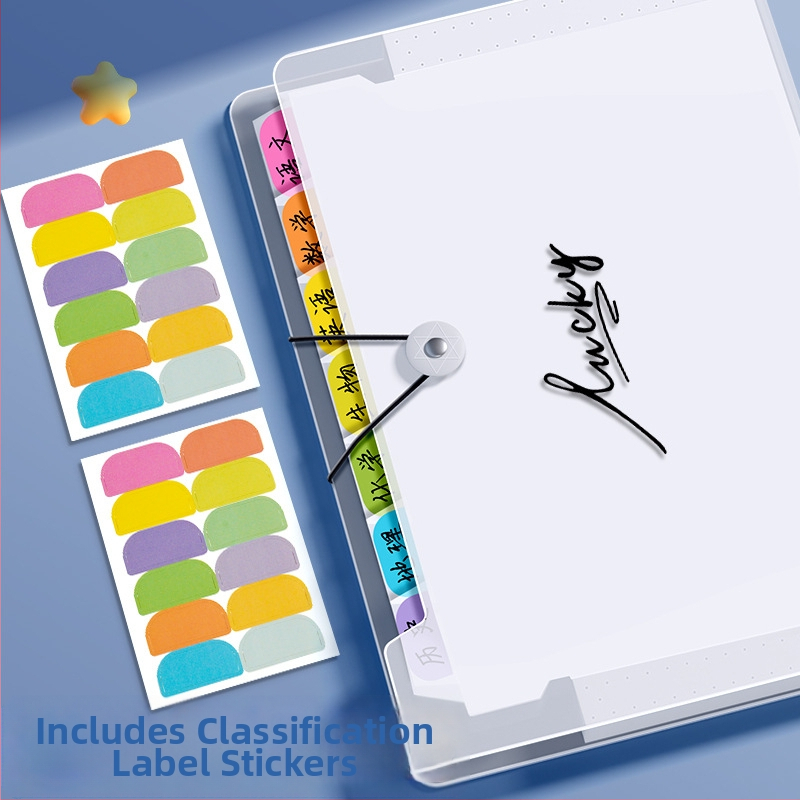 A4 failu organizētājs ar daudzslāņu harmonikas nodalījumiem, PP materiāls, konfigurācija 8/12 nodalījumi, 45C biezums, logotipa druka, pielāgošana pieejama