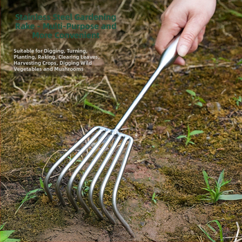 Grebla de grădină din oțel inoxidabil, vârf ascuțit, 2- și 3-dinți, pentru ghivece și flori, afânează solul, utilizare în exterior