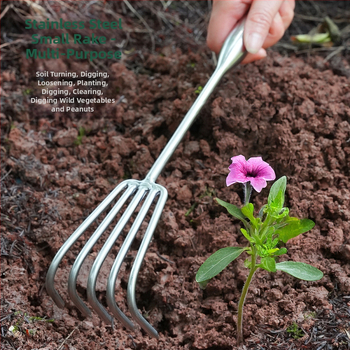 Grebla de grădină din oțel inoxidabil, vârf ascuțit, 2- și 3-dinți, pentru ghivece și flori, afânează solul, utilizare în exterior