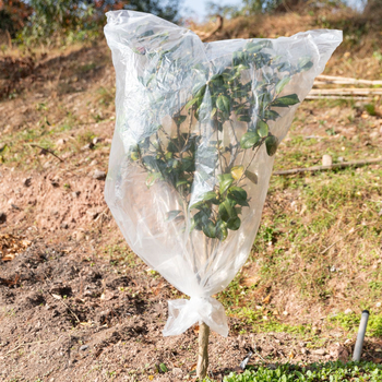 Téli növényi védőfedél – átlátszó műanyag izolációs borítás gyümölcsfákhoz, zöld növényekhez és virágokhoz (por- és vízálló, fagyálló) – Living Together