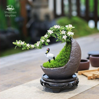 Moss Ball Bonsai – Mikro peizažas su June Snow forma, lengvai auginama hidroponinė vidaus žalieji; Medžiaga: Other; Prekė: Other; Importuota: Ne