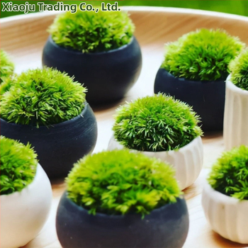 Мъхова микро‑ландшафтна декорация за террариум – Hair Moss, Velvet Moss; Бранд Xiaoju; Материал: магнитни материали; Приложение: наземни резервоари