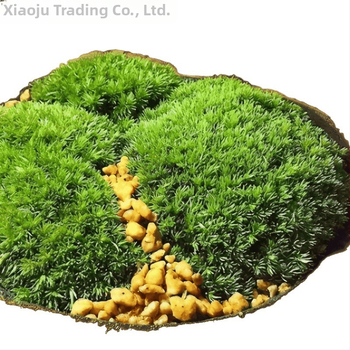 Мъхова микро‑ландшафтна декорация за террариум – Hair Moss, Velvet Moss; Бранд Xiaoju; Материал: магнитни материали; Приложение: наземни резервоари