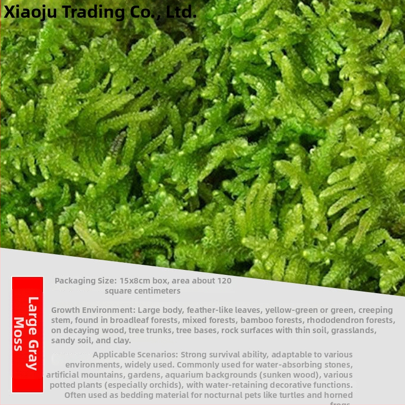 Мъхова микро‑ландшафтна декорация за террариум – Hair Moss, Velvet Moss; Бранд Xiaoju; Материал: магнитни материали; Приложение: наземни резервоари