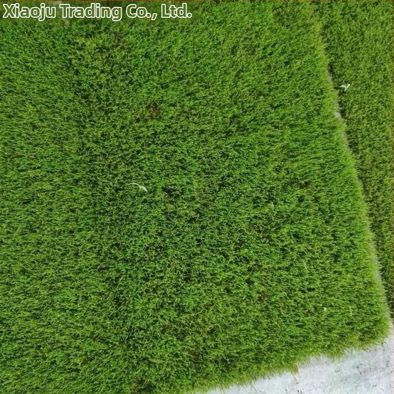 Мъхова микро‑ландшафтна декорация за террариум – Hair Moss, Velvet Moss; Бранд Xiaoju; Материал: магнитни материали; Приложение: наземни резервоари