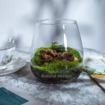 Sammā augiem mikrolandskā pudelē — stikls ar augstu borosilikāta kvalitāti, DIY dekors birojam, dāvana mājām