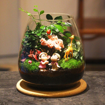 Sammā augiem mikrolandskā pudelē — stikls ar augstu borosilikāta kvalitāti, DIY dekors birojam, dāvana mājām