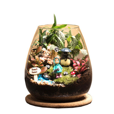 Sammā augiem mikrolandskā pudelē — stikls ar augstu borosilikāta kvalitāti, DIY dekors birojam, dāvana mājām