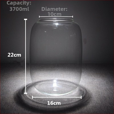 Sammā augiem mikrolandskā pudelē — stikls ar augstu borosilikāta kvalitāti, DIY dekors birojam, dāvana mājām