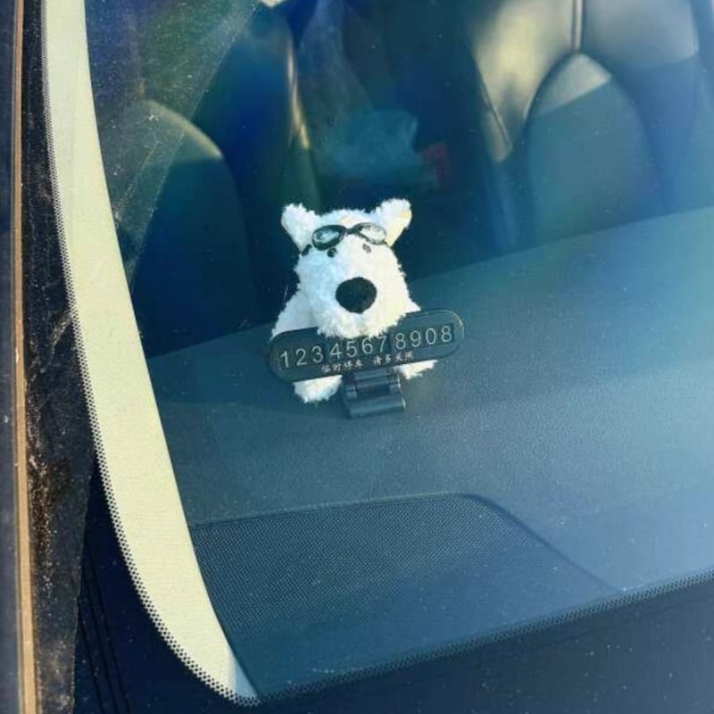 Decorație ascunsă pentru plăcuța de înmatriculare a mașinii, consolă centrală, plastic, model 1