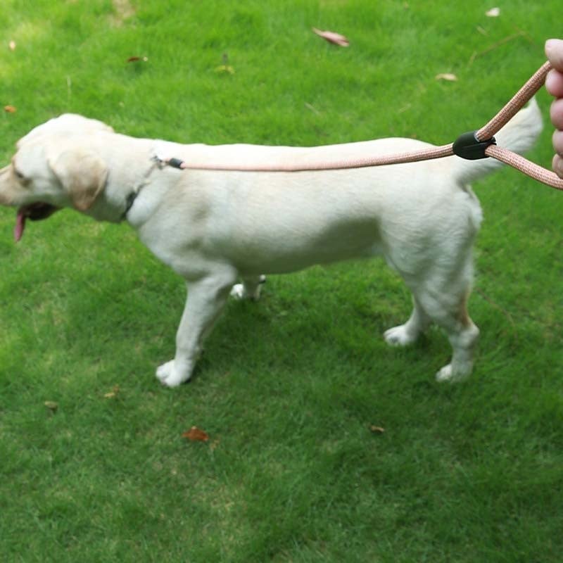 Полипропиленова кучешка каишка, марка LH, неразтягаща се, 240 бр. в опаковка