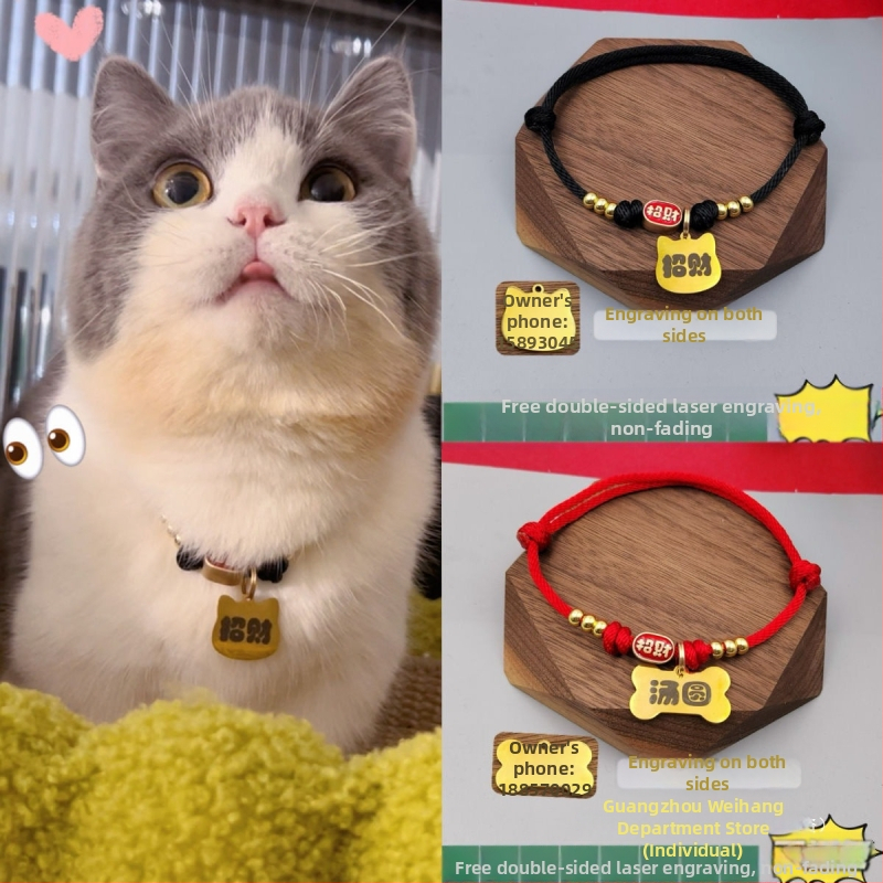 Dzīvnieku identitātes kaklarota, sveķi, Zīmols: Unique, Bez personalizācijas, Modelis: Cits, Piemērots kaķiem