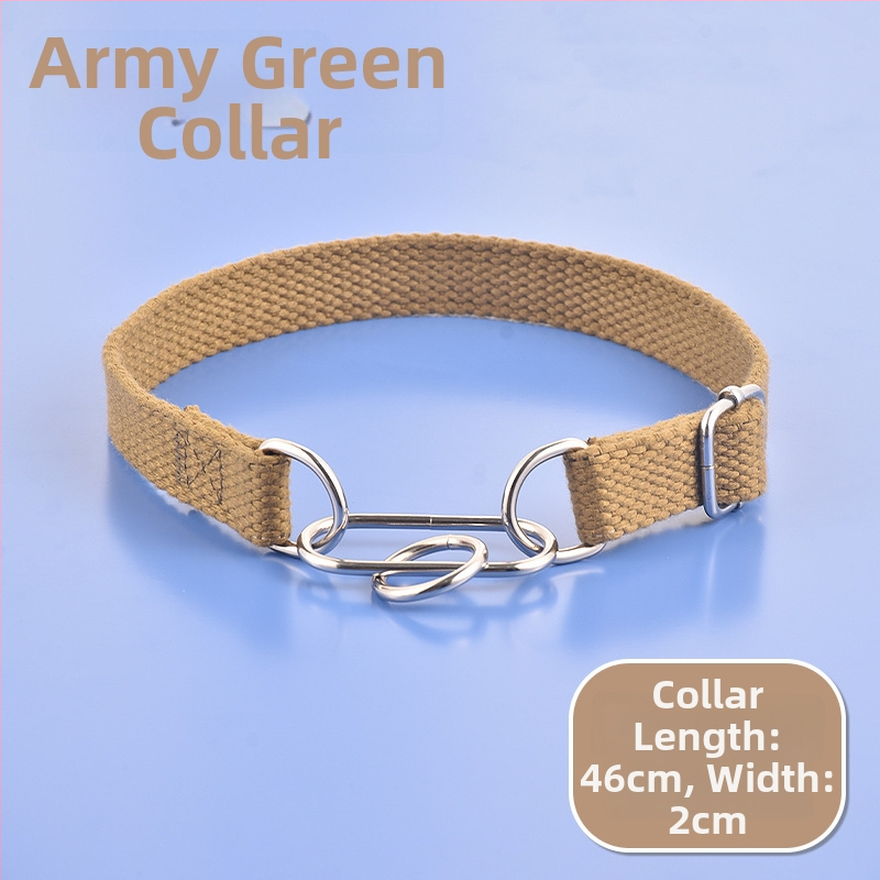 Pamukani ovratnik i povodac za psa, fiksne duljine, pakiranje 50