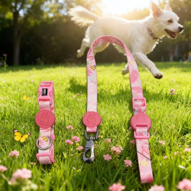 Комплект нашийници за кучета - регулируеми полиестерни нашийници, карикатурен стил, универсално пасване, за всички сезони