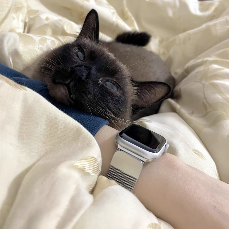 Каишка за Apple Watch от неръждаема стомана, дишаща метална лента с магнитна закопчалка, модерен стил, персонализируем размер на свързването