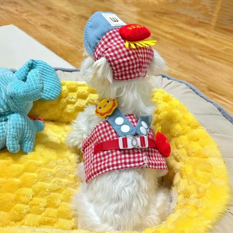 Комплект дрехи за кучета за лято с каишка и предно-гръбно водене и шапка против слънцето (Материал: коралов флис; Категория: дрехи за домашни любимци; Включва шапка против слънцето; Каишка и нашийник)