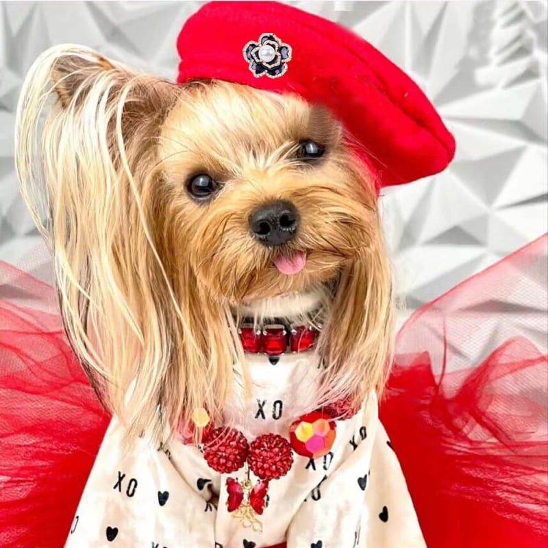 Kutya beret sapka, gyapjú/filc anyag, betűk mintázat, reliefes kivitel, géppel szőtt nehéz lapos, tavasz és ősz (Modell: MZ-001)