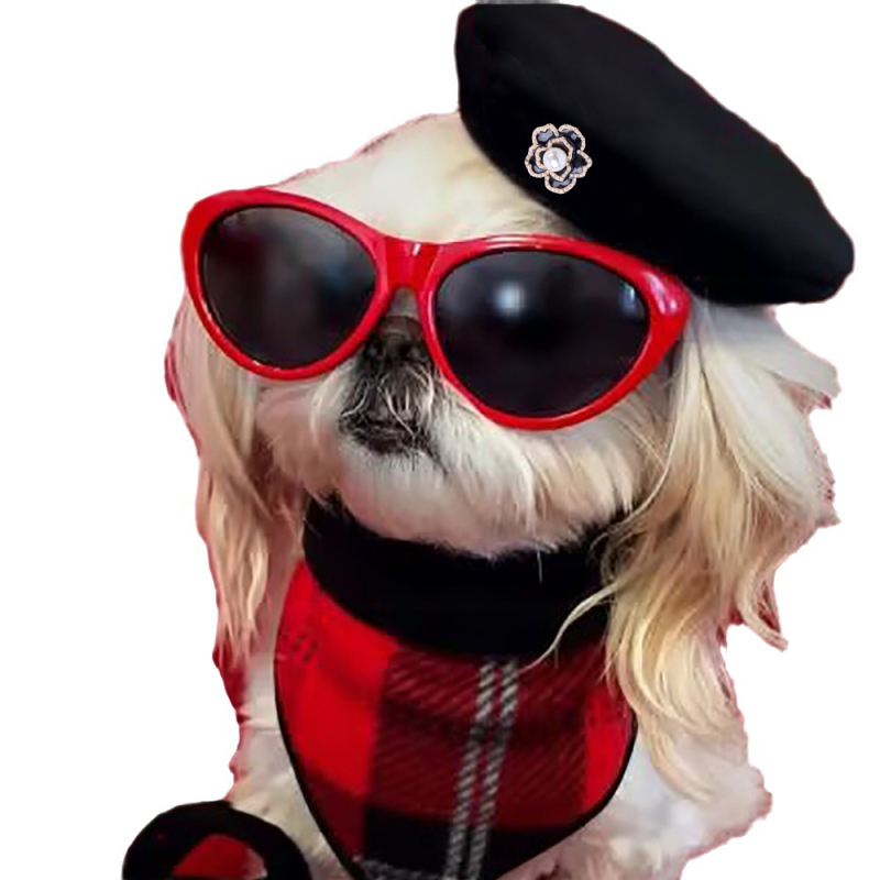 Kutya beret sapka, gyapjú/filc anyag, betűk mintázat, reliefes kivitel, géppel szőtt nehéz lapos, tavasz és ősz (Modell: MZ-001)