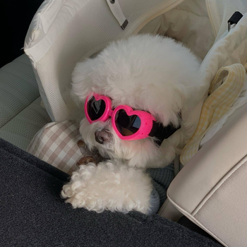 Guli guli háziállat szemüveg – szív alakú, szélálló UV védelem, műanyag keret, kutyáknak és macskáknak, minden szezonra