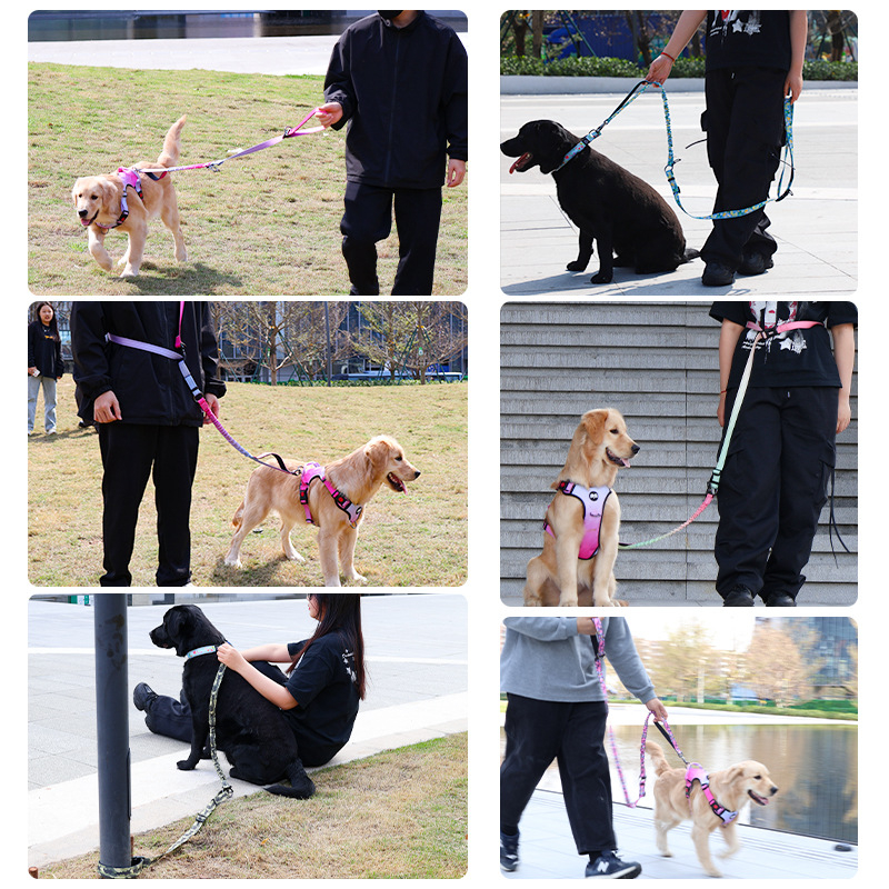 Fiber Pet leseu pentru câini din poliester cu curea de talie – mâini libere, curea de tracțiune, pachet 100