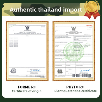 Pantofi de lucru unisex, anti-alunecare și rezistenți la uzură, partea superioară din pânză, talpă din cauciuc, construcție vulcanizată