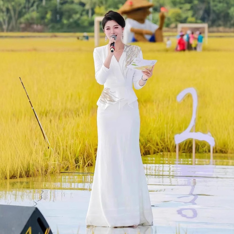 Rochie de seară pentru gazdă și reprezentații, mâneci lungi, fustă lungă, talie mijlocie înaltă, material poliester, conținut principal 30–50%