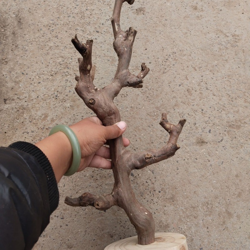 Дървен дисплей за бижута с мотив птица и клон – модерен минималистичен стил, защита срещу окисляване