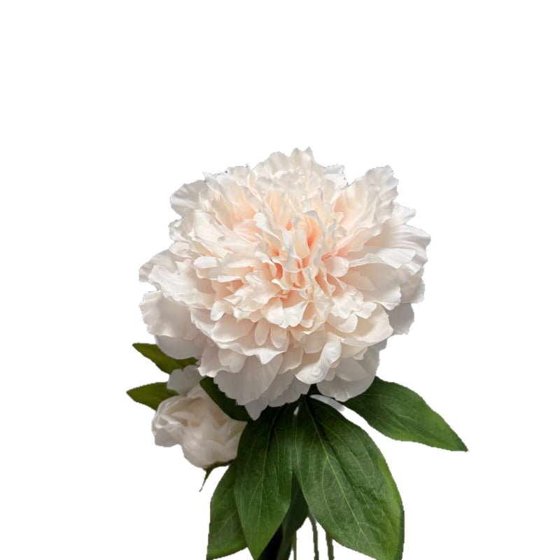 Τεχνητό άνθος πεονίας με δύο κεφαλές για γαμήλιο διάδρομο και διακόσμηση αίθουσας | Μάρκα: Twelve Flower Ambassadors | Υλικό: μεταξωτό λουλούδι | Κατασκευή: Ημιχειροποίητο και Ημιμηχανοποιημένο