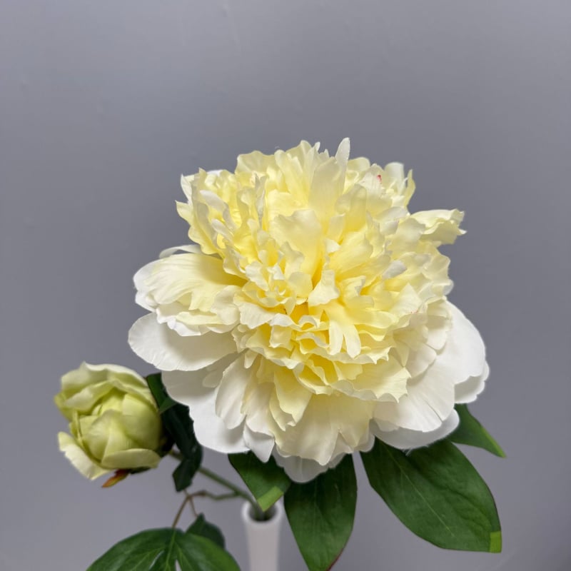 Τεχνητό άνθος πεονίας με δύο κεφαλές για γαμήλιο διάδρομο και διακόσμηση αίθουσας | Μάρκα: Twelve Flower Ambassadors | Υλικό: μεταξωτό λουλούδι | Κατασκευή: Ημιχειροποίητο και Ημιμηχανοποιημένο