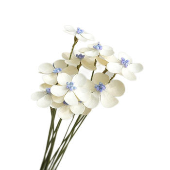 Сушени цветя - ръчно залепени за DIY букети, декорация за дом и ресторант; боядисани, опаковка: картон