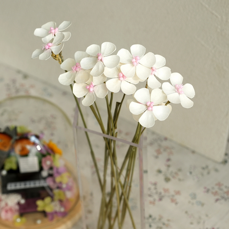 Сушени цветя - ръчно залепени за DIY букети, декорация за дом и ресторант; боядисани, опаковка: картон