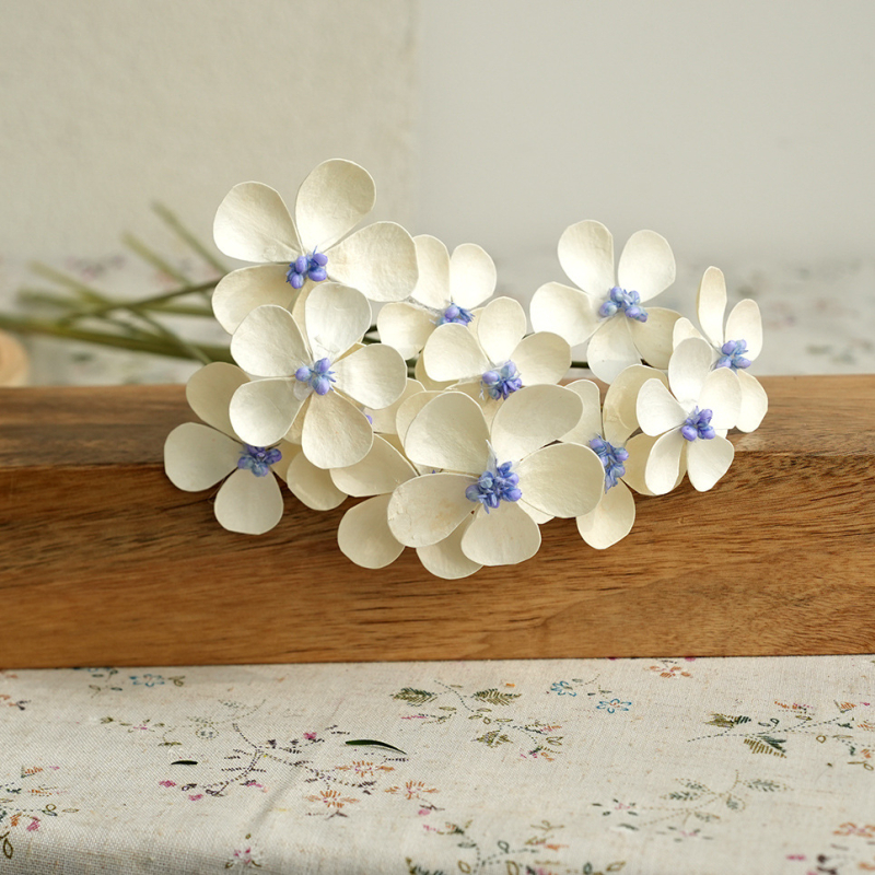 Сушени цветя - ръчно залепени за DIY букети, декорация за дом и ресторант; боядисани, опаковка: картон