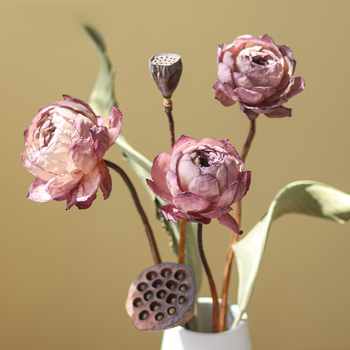 Лотос сушени цветя — букет с реални цветя за дневна, вазова украса, въздушно изсушени листа, естествен китайски стил. Тип: Цветя; Марка: Qirong; Боядисани; Сорт: Ailian dried flower combination 003