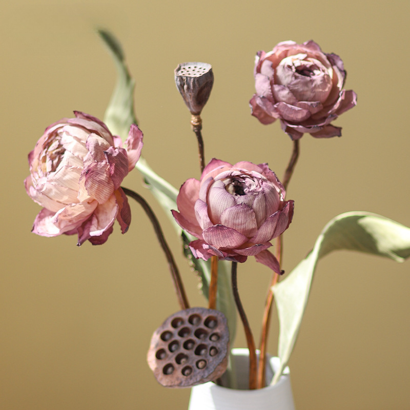 Лотос сушени цветя — букет с реални цветя за дневна, вазова украса, въздушно изсушени листа, естествен китайски стил. Тип: Цветя; Марка: Qirong; Боядисани; Сорт: Ailian dried flower combination 003