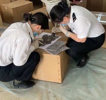 Сашет от сушена лавандула – теснолистна лавандула, на едро опаковано, успокояващ аромат за сън