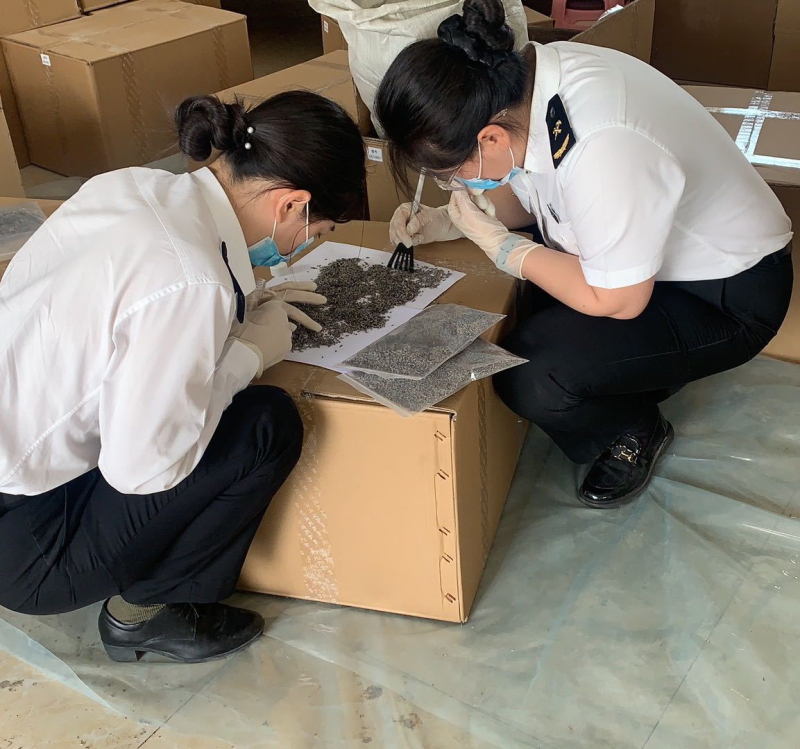 Сашет от сушена лавандула – теснолистна лавандула, на едро опаковано, успокояващ аромат за сън