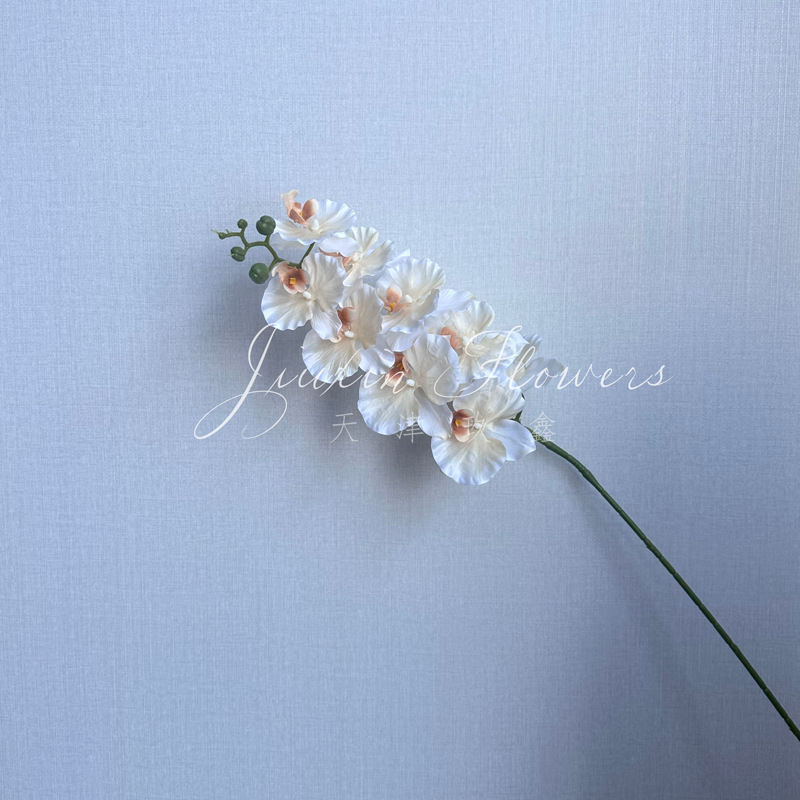Phalaenopsis svilen cvijet – 3D dojam filmske teksture; Materijal: svila; Proces: injekcijsko oblikovanje, lijevanje; Namjena: vjenčanja, vanjski prostor, rekviziti za fotografije, kućna dekoracija