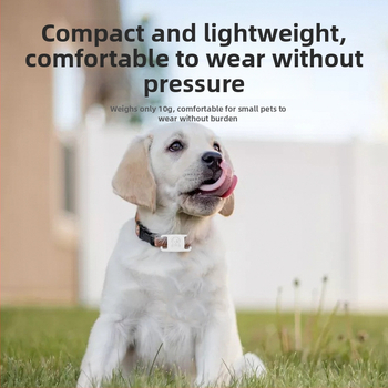 Šuns GPS anti-pasimetimo lokatorius – mini, atsparus vandeniui apykaklė (GPS, mini, atsparus vandeniui)