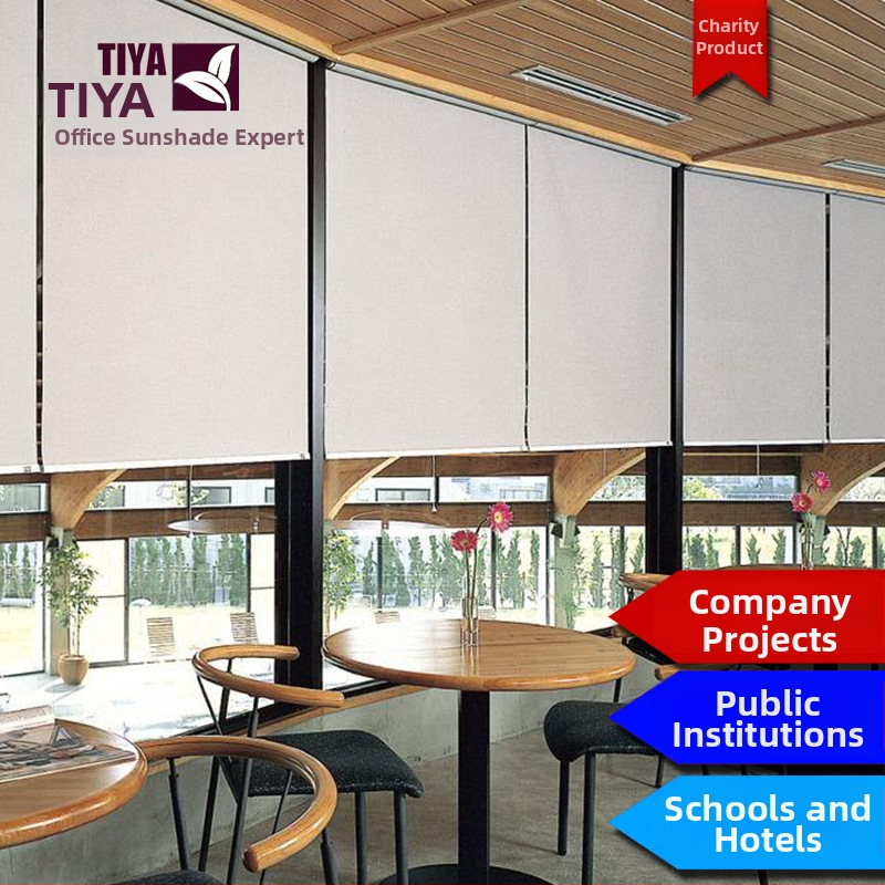 Tumšās roletes Elegant | Poliesteris, Pielāgojamas, Mūsdienīgs minimālisma stils, Montāža iekļauta