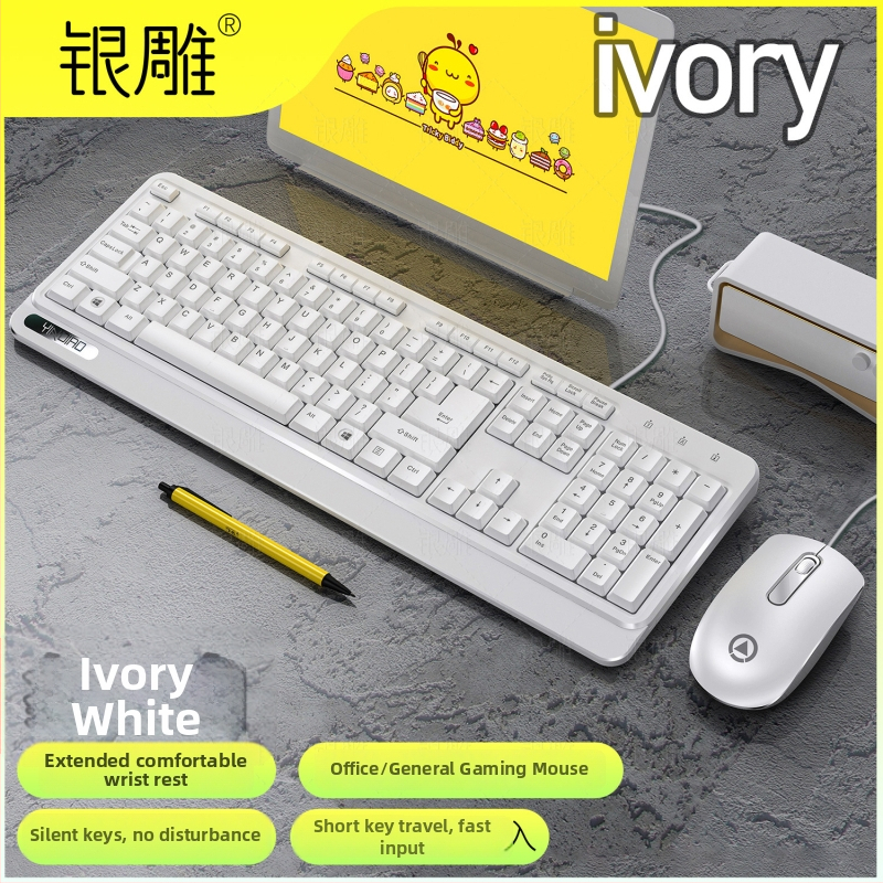 Káblový set klávesnice a myši, 104 kláves, káblové pripojenie, s opierkou dlane, model V1