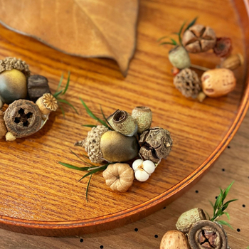 Broš Acorn Plant Serije — ručno izrađena od suhih drvenih čipova, šumski stil, vintage nakit za žene (Proljeće 2025)