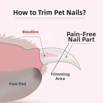 Tăietor pentru unghii de pisică, 2 în 1, cu fișier LED și polisare unghii