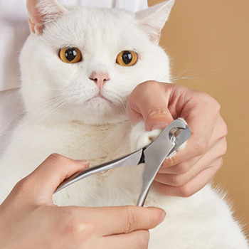 Clește pentru unghii câini și pisici - deschidere mare, oțel turnat