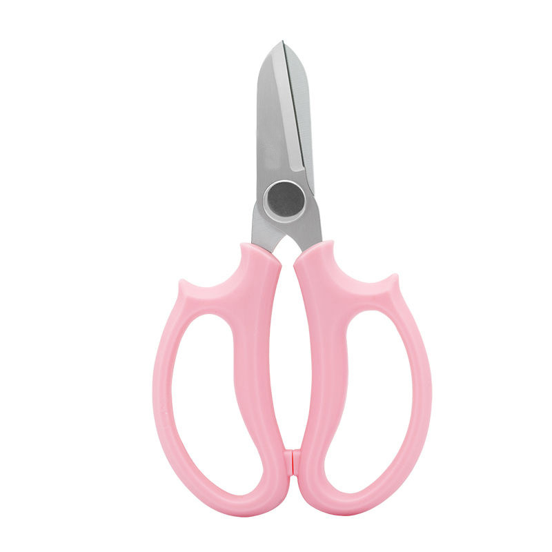 Pinheng nehrđajući čelik škare za podrezivanje za florikulturu, vrt i bonsaje