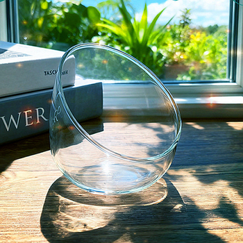 Mikro ainavas stikla pudele ar noliektu muti – DIY sūnas un sukulentu ekosistēma, caurspīdīga vāze uz galda, materiāls: borosilikāta stikls