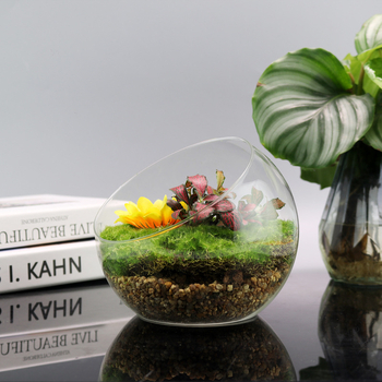 Mikro ainavas stikla pudele ar noliektu muti – DIY sūnas un sukulentu ekosistēma, caurspīdīga vāze uz galda, materiāls: borosilikāta stikls