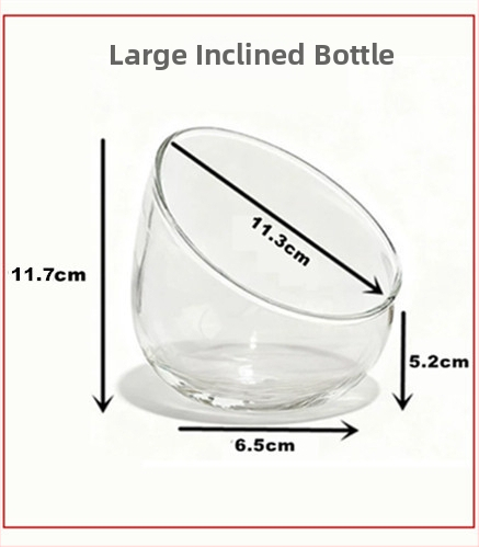 Mikro ainavas stikla pudele ar noliektu muti – DIY sūnas un sukulentu ekosistēma, caurspīdīga vāze uz galda, materiāls: borosilikāta stikls