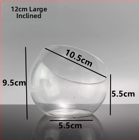 Mikro ainavas stikla pudele ar noliektu muti – DIY sūnas un sukulentu ekosistēma, caurspīdīga vāze uz galda, materiāls: borosilikāta stikls